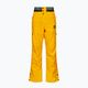 Picture Picture Herren Skihose Object 20/20 gelb MPT114