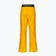 Picture Picture Herren Skihose Object 20/20 gelb MPT114 2