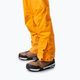Picture Picture Herren Skihose Object 20/20 gelb MPT114 6