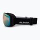 Skibrille Alpina Granby QV black matt/gold sph 4