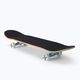 Playlife klassische Skateboard Löwe blau 880312 2