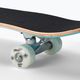 Playlife klassische Skateboard Löwe blau 880312 7