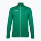 Capelli Basics Adult Training grün/weiß Herren Fußball Sweatshirt