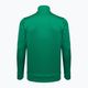 Capelli Basics Adult Training grün/weiß Herren Fußball Sweatshirt 2