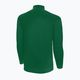 Capelli Basics Adult Training grün/weiß Herren Fußball Sweatshirt 5