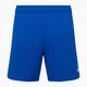 Capelli Sport Cs One Adult Match Fußball-Shorts königsblau/weiß
