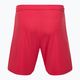 Capelli Sport Cs One Adult Match rot/weiß Kinder Fußball-Shorts 2