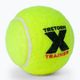 Tretorn X-Trainer 72 Tennisbälle gelb 3T44 474235 3