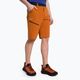 Salewa Herren-Trekking-Shorts Puez 3 orange 00-0000027401