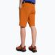 Salewa Herren-Trekking-Shorts Puez 3 orange 00-0000027401 3