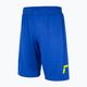 Reusch Match Short Fußballshorts blau 5118705-4940