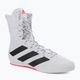 Boxen Schuhe adidas Box Hog 3 weiß und schwarz GV9975