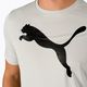 Herren Trainings-T-Shirt PUMA Active Big Logo Tee grau 586724_09 5