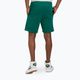 Shorts Herren FILA Lazsko Sweat aventurine 3