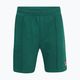 Shorts Herren FILA Lazsko Sweat aventurine 5