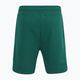 Shorts Herren FILA Lazsko Sweat aventurine 6