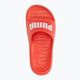 PUMA Divecat v2 Lite aktiv rot/puma weiß flip-flops 5