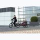 Fahrrad Anhänger Qeridoo Sportrex 1 cayenne red 6