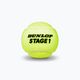 Kinder-Tennisbälle Dunlop Stage 1 3 stück grün 61338 3