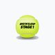 Kinder-Tennisbälle Dunlop Stage 1 6 stück grün 61342 2