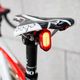 Fahrradrücklicht INFINI Olley USB 11