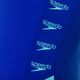 Speedo Boom Logo Splice Muscleback einteiliger Badeanzug für Damen G008 blau 12900G008 3