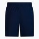 Herren Nike Essential 5" Volley Badeshorts navy blau NESSA560-440