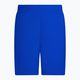 Herren Nike Essential 5" Volley Badeshorts blau NESSA560-494 2