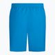 Herren Nike Essential 5" Volley Badeshorts blau NESSA560-406 2