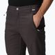 Herren Softshellhose REGATTA Geo Softshell II ash 4