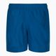 Herren Nike Essential 5" Volley Badeshorts navy blau NESSA560-444 2