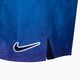 Herren Nike Jdi Fade 5" Volley Badeshorts lila NESSC479-593 4