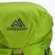 Kletterrucksack Gregory Alpinisto 35 l grün 2J*441 5