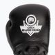 Bushido Boxhandschuhe mit Wrist Protect System schwarz Bb2-12oz 5