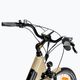 Ecobike X-City/X-CR LG Elektrofahrrad 13Ah beige 1010113 10