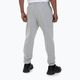 Hosen für Männer Pitbull West Coast Track Pants Athletic grey/melange 3