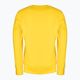 Sweatshirt für Männer Pitbull West Coast Crewneck Classic Boxing 21 yellow 2