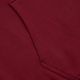 Sweatshirt für Männer Pitbull West Coast Everts Hooded burgundy 6