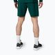 Pitbull West Coast Herren Pique Rockey grün Shorts 3