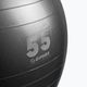 Gipara Fitness-Ball 55 cm grau 3141 2