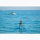 SUP AQUASTIC Touring 12'6" 2024 Brett blau 5