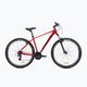 ATTABO Herren-Mountainbike ALPE 1.0 19" rot 15