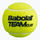 BABOLAT TEAM CLAY Tennisbälle 18x4 grün 502080 2