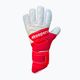 Torwarthandschuhe Kinder 4Keepers Equip Poland Nc Jr weiß-rot EQUIPPONCJR 4