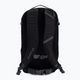 Dakine Heli Pack 12 Wanderrucksack schwarz D10003261 2