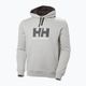 Herren Hoodie Sweatshirt Helly Hansen HH Logo Hoodie grey/melange