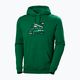 Herren-Trekking-Sweatshirt Helly Hansen F2F Organic Cotton Hoodie 486 grün 62934
