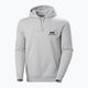 Men's Helly Hansen Nord Graphic Pull Over Hoodie grau melange 2