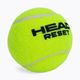 HEAD Reset Polybag Tennisbälle 72 Stück grün 575030 3