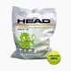 HEAD Tip Green 72 Kinder-Tennisbälle grün 578280